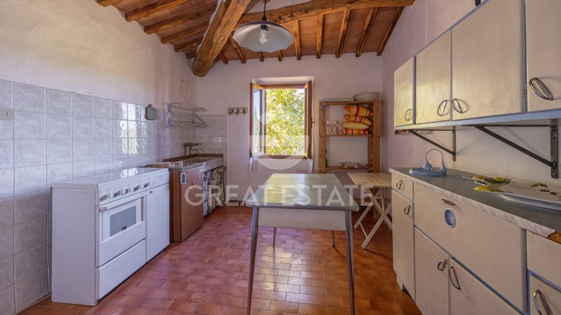 Ferme à Castellina in Chianti