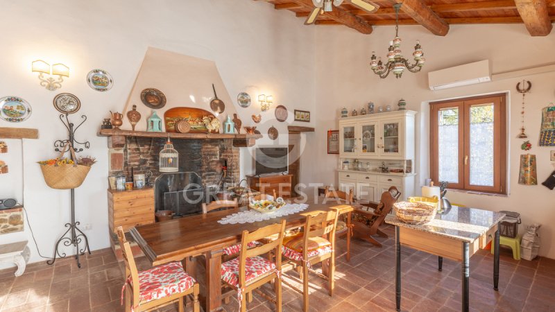 Lantställe i Montegabbione