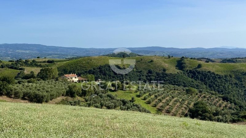 Agroturismo en Campagnatico