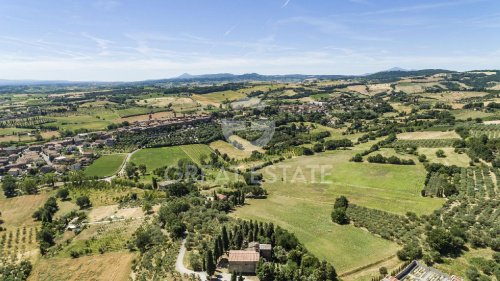 Lantställe i Torrita di Siena