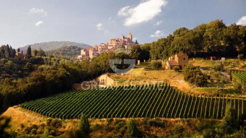 Lantställe i Trequanda