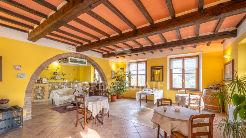 Bauernhaus in Radicofani