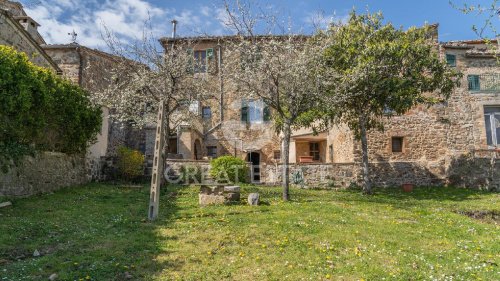 Lantställe i Montalcino