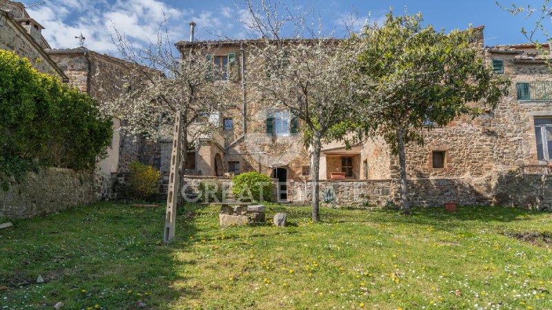 Lantställe i Montalcino