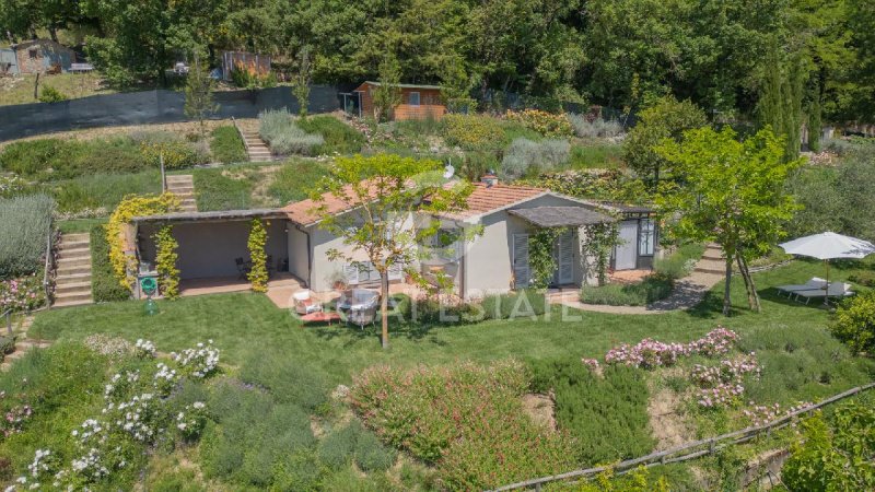 Villa in San Casciano dei Bagni