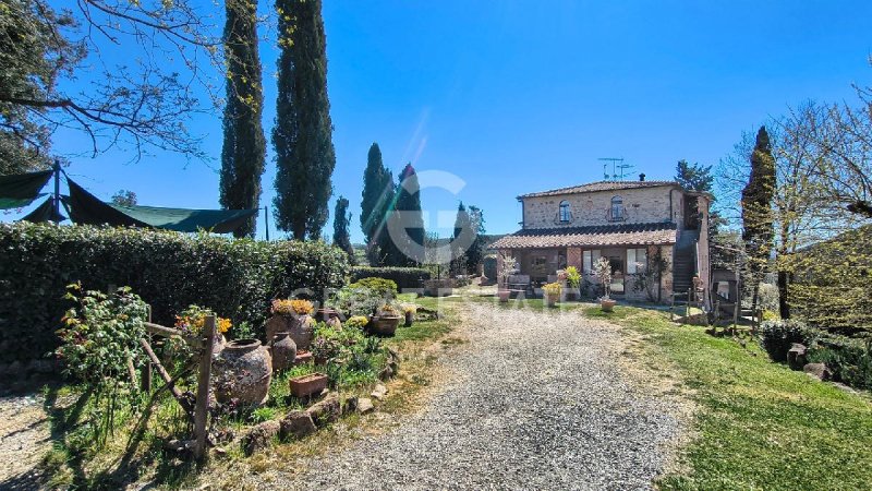 Explotación agrícola en Volterra