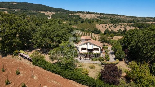 Villa a Montecchio