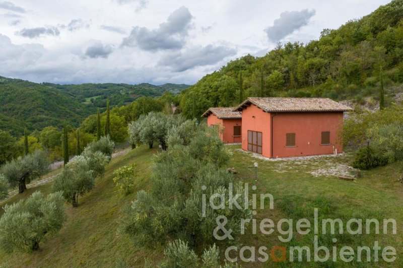 Lantställe i Gubbio