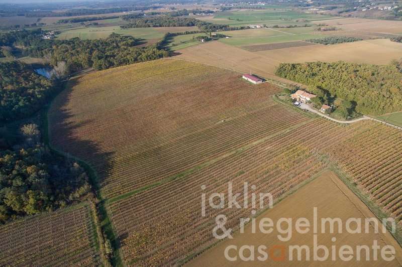 Azienda agricola a Castiglione del Lago