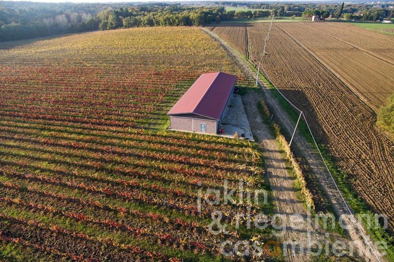 Quinta agrícola em Castiglione del Lago