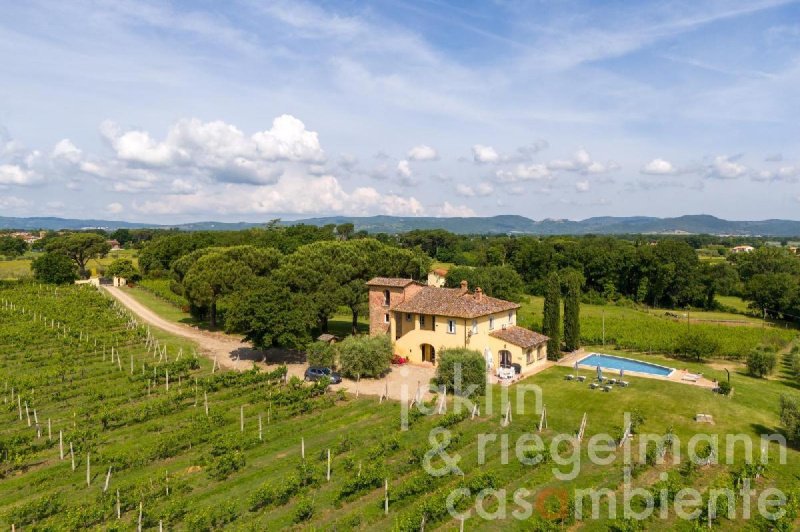 Farmhouse in Monte San Savino