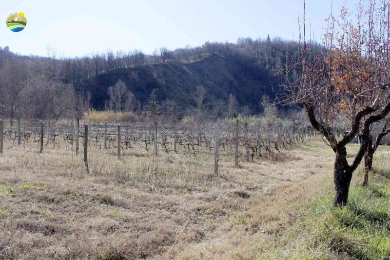 Hus på landet i Bisenti