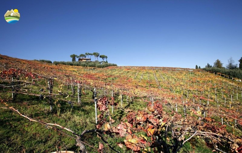 Вилла в Нотареско