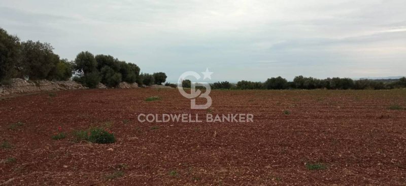 Agricultural land in Polignano a Mare