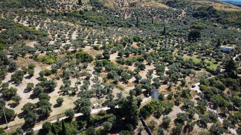 Agricultural land in Tivoli