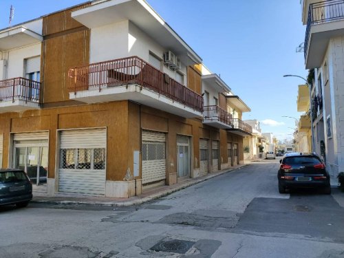 Commercial property in Turi