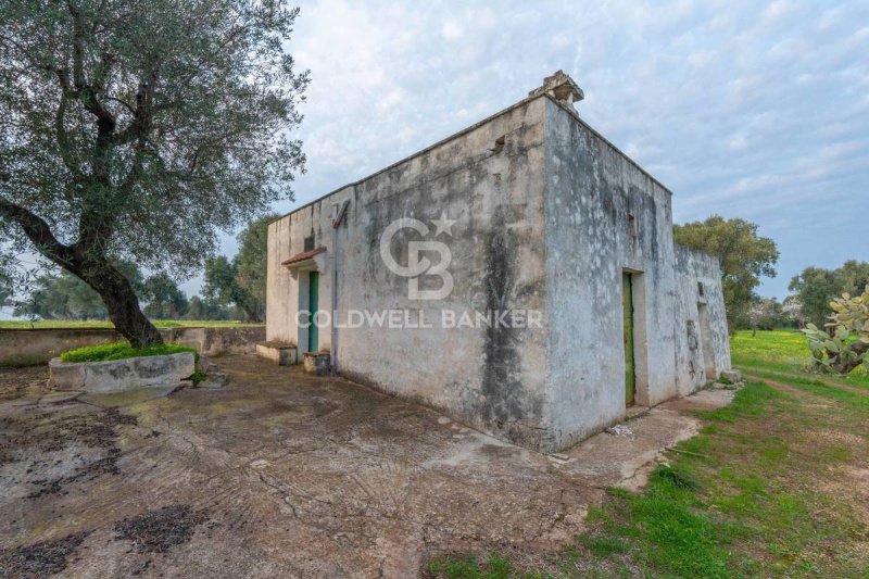 Casa em Ostuni