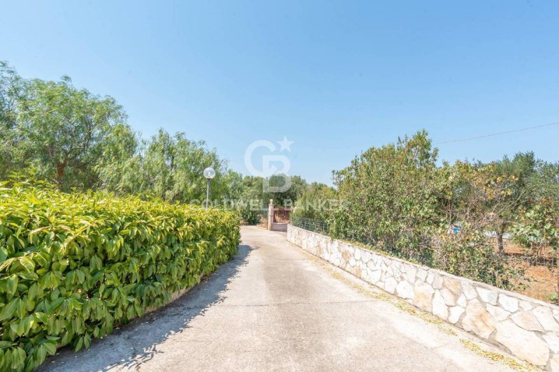 Trullo (Rundhaus) in Ostuni