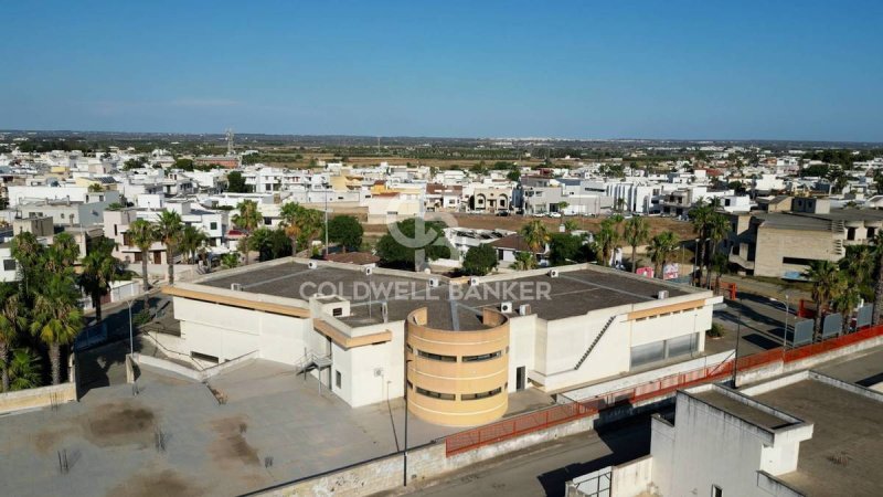 Local commercial à Racale