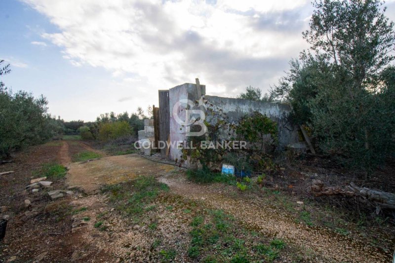 Terreno agrícola em San Vito dei Normanni