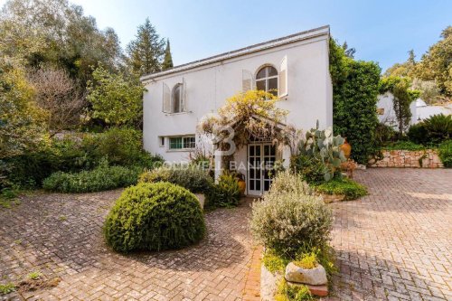 Villa i Ostuni