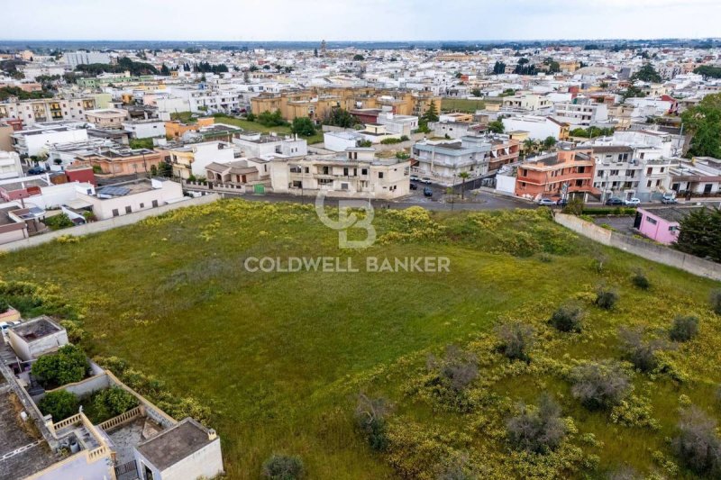 Building plot in Squinzano