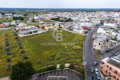Building plot in Squinzano