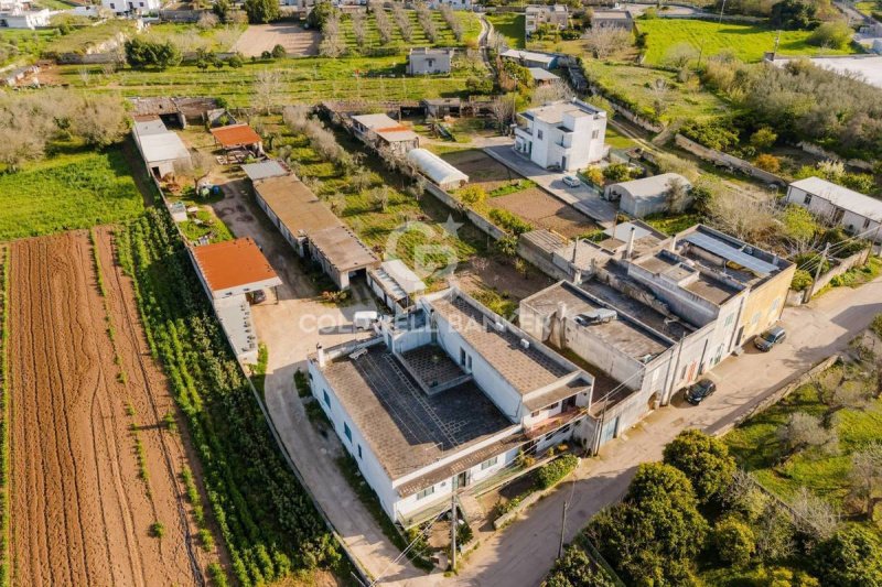 Villa i Uggiano la Chiesa