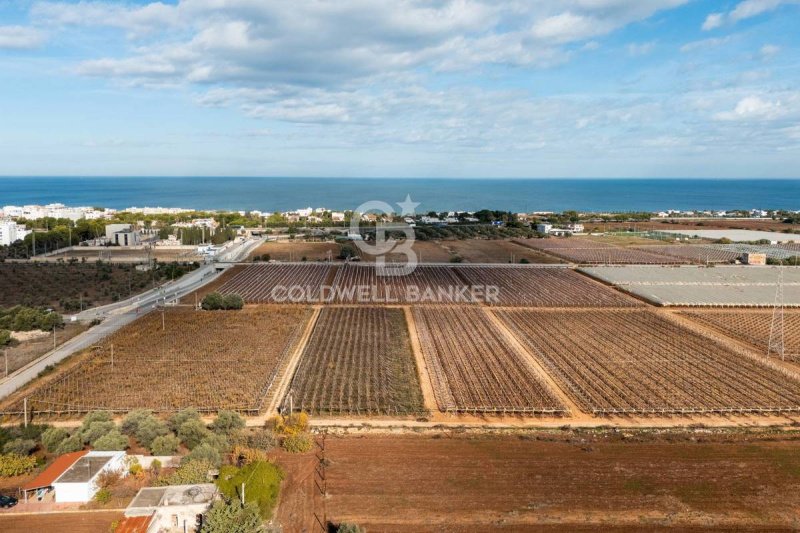 Terreno edificable en Bari