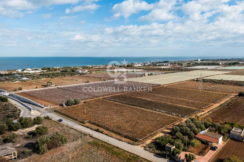 Terreno edificable en Bari