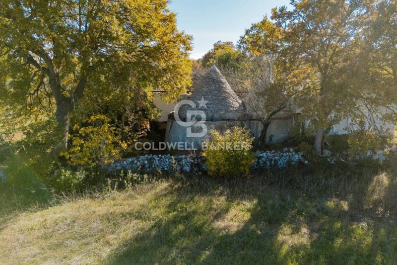 普蒂尼亚诺特魯洛