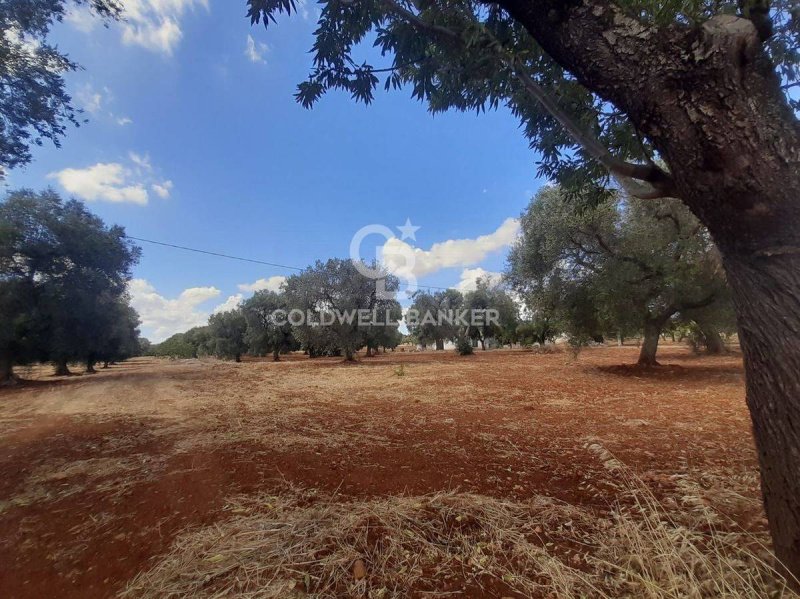 Jordbruksmark i San Vito dei Normanni