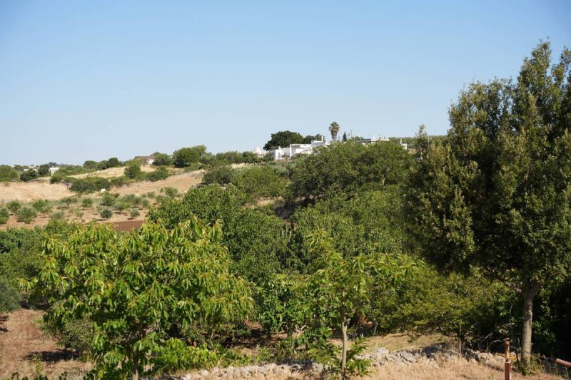 Trullo a Martina Franca