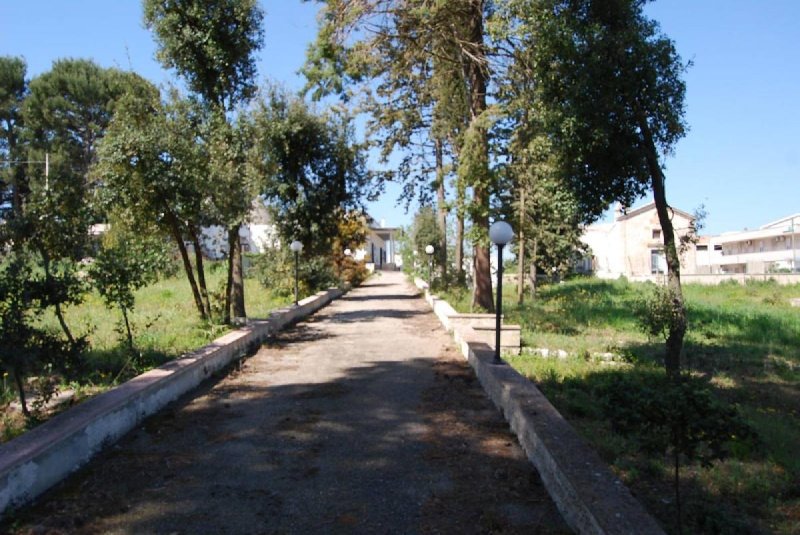 马丁纳弗兰卡土地