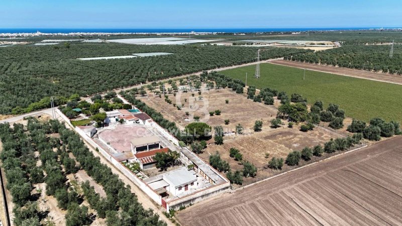 Country house in Trani