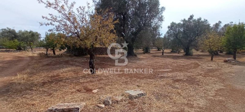 Trulli in San Michele Salentino