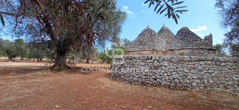 Trullo in San Michele Salentino