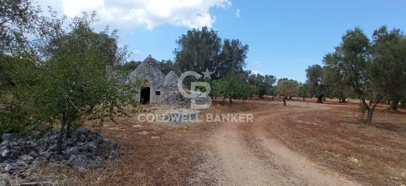 Trullo in San Michele Salentino