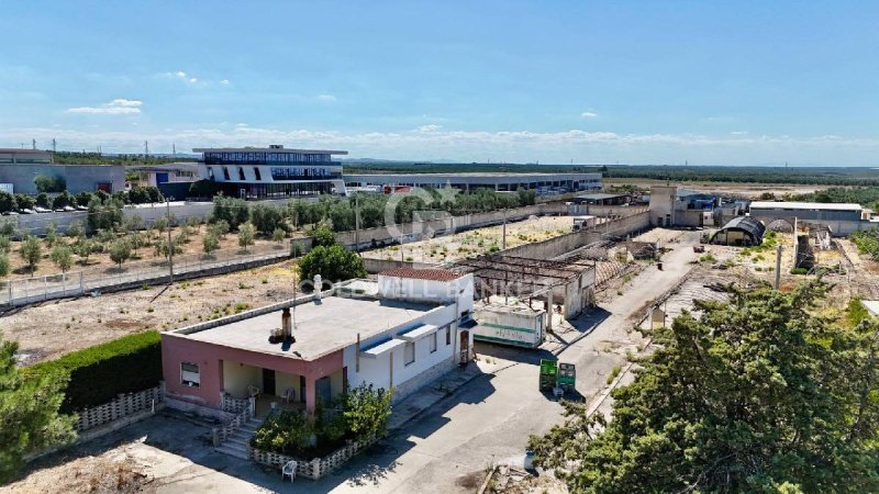 Jordbruksmark i Andria