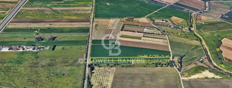 Terrain agricole à Brindisi