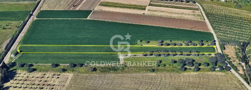 Terrain agricole à Brindisi