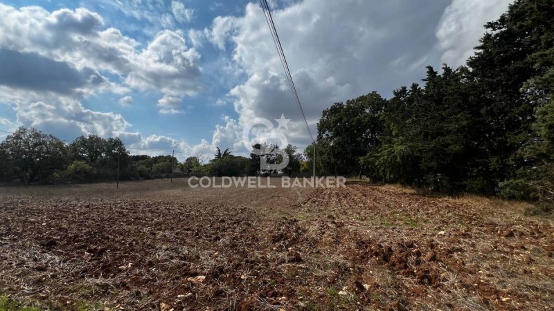 Сельскохозяйственный участок в Джоя-дель-Колле