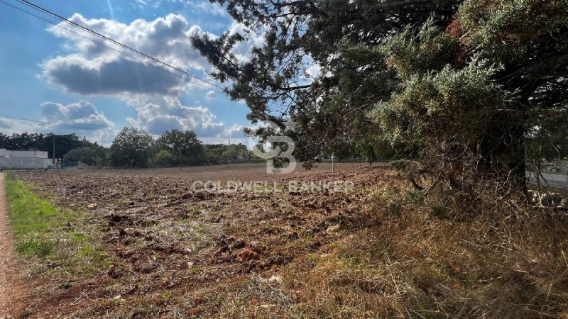 Сельскохозяйственный участок в Джоя-дель-Колле