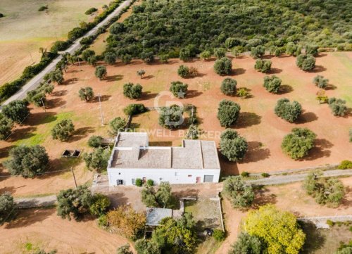 Hus på landet i Crispiano