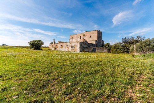 Country house in Castellaneta