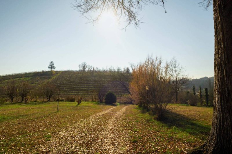 Villa en Nizza Monferrato