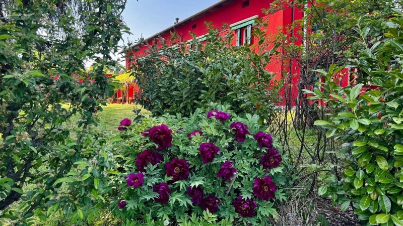 Villa in Nizza Monferrato