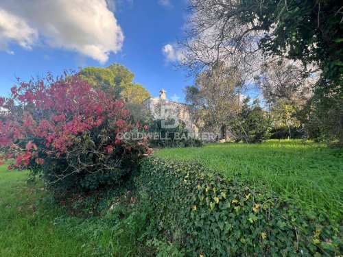 Terreno agrícola en Ostuni
