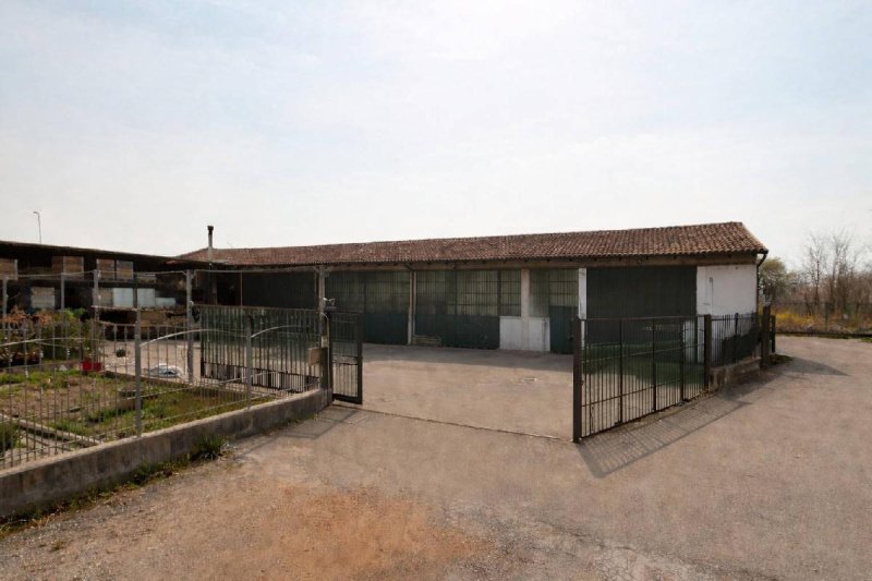 Коммерческая недвижимость в Монкальери