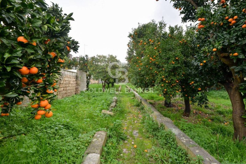 阿尔内萨诺独栋房屋